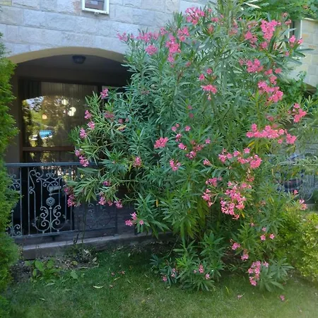 Apartment Destination Bulgaria 2000 Cascadas Private Summer Family *