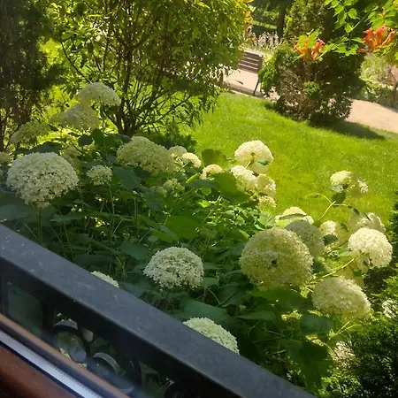 Destination Bulgaria 2000 Cascadas Private Summer Family Appartamento Sunny Beach